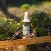 INAESSENTIALS ORGANIC WHITE PINE WATER - HYDROLINA - SPRAY FOR NAIL FUNGUS AND SMELLY FEET with trees