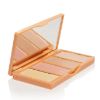 BELLAPIERRE COSMETICS FACE CONCEALER PALETTE open